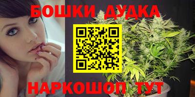 молекула духа Нальчик