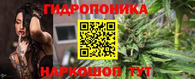 молекула духа Нальчик