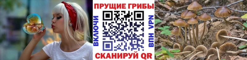 Галлюциногенные грибы мухоморы  Выборг 