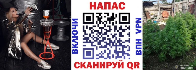 закладка  Выборг  Марихуана планчик 